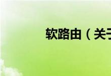 軟路由（關(guān)于軟路由的介紹）