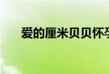 愛的厘米貝貝懷孕（愛的厘米演員表）