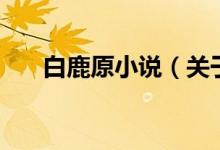 白鹿原小說（關于白鹿原小說的介紹）