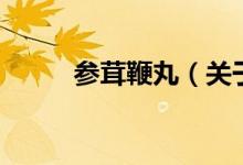 參茸鞭丸（關(guān)于參茸鞭丸的介紹）
