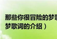 那些你很冒險(xiǎn)的夢歌詞（關(guān)于那些你很冒險(xiǎn)的夢歌詞的介紹）