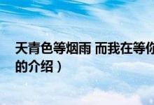 天青色等煙雨 而我在等你(關(guān)于天青色等煙雨 而我在等你的介紹)