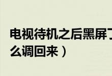 電視待機之后黑屏了怎么調回來(電視待機怎么調回來)