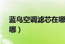 藍鳥空調濾芯在哪圖解（lannia空調濾芯在哪）
