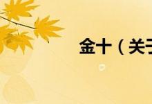 金十（關于金十的介紹）