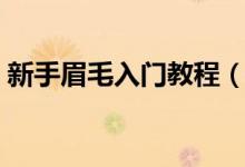 新手眉毛入門(mén)教程（刮眉毛的正確方法圖片）