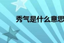 秀氣是什么意思（秀氣是什么意思）