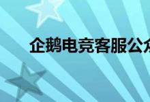 企鵝電競客服公眾號（企鵝電競客服）