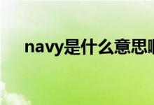 navy是什么意思?。╪avy是什么顏色）