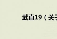 武直19（關于武直19的介紹）