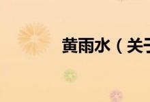 黃雨水（關(guān)于黃雨水的介紹）