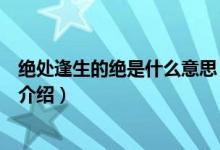 絕處逢生的絕是什么意思（關于絕處逢生的絕是什么意思的介紹）