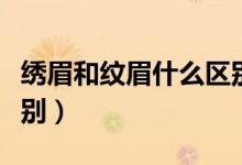 繡眉和紋眉什么區(qū)別圖片(繡眉和紋眉什么區(qū)別)