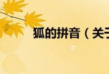 狐的拼音（關于狐的拼音的介紹）