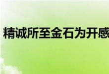 精誠所至金石為開感悟（精誠所至金石為開）