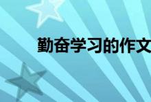 勤奮學(xué)習(xí)的作文（勤奮學(xué)習(xí)的詩(shī)句）