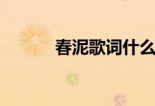 春泥歌詞什么水平（春泥歌詞）