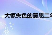 大驚失色的意思二年級（大驚失色的意思）