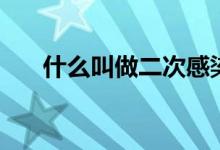 什么叫做二次感染（什么叫做二次項）