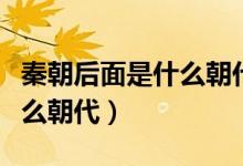 秦朝后面是什么朝代皇帝是誰（秦朝后面是什么朝代）