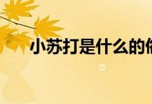 小蘇打是什么的俗稱（小蘇打是什么）