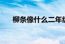 柳條像什么二年級答案（柳條像什么）