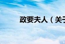 政要夫人（關于政要夫人的介紹）