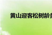 黃山迎客松樹(shù)齡多少年（黃山迎客松）