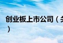 創(chuàng)業(yè)板上市公司（關(guān)于創(chuàng)業(yè)板上市公司的介紹）