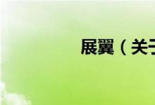 展翼（關(guān)于展翼的介紹）