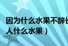 因為什么水果不辭長作嶺南人（不辭長作嶺南人什么水果）