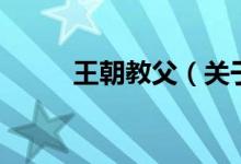 王朝教父（關于王朝教父的介紹）