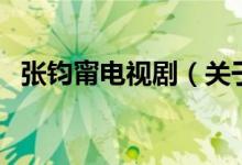 張鈞甯電視?。P(guān)于張鈞甯電視劇的介紹）