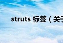 struts 標簽（關于struts 標簽的介紹）