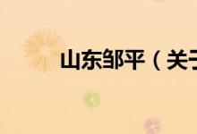 山東鄒平（關(guān)于山東鄒平的介紹）