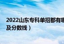 2022山東?？茊握卸加心男W(xué)校（2022山東專科大學(xué)排名及分?jǐn)?shù)線）