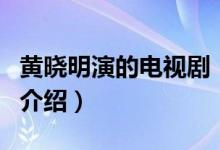 黃曉明演的電視?。P(guān)于黃曉明演的電視劇的介紹）