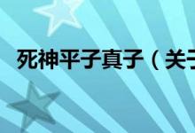死神平子真子（關(guān)于死神平子真子的介紹）