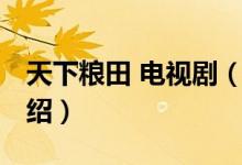 天下糧田 電視劇（關(guān)于天下糧田 電視劇的介紹）