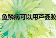 魚(yú)鱗病可以用蘆薈膠嗎（魚(yú)鱗病可以治愈嗎）