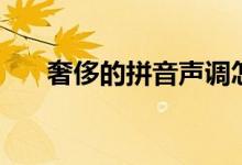 奢侈的拼音聲調怎么寫（奢侈的拼音）