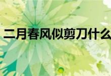 二月春風似剪刀什么意思(二月春風似剪刀)