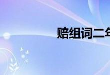 賠組詞二年級（賠組詞）