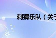 刺猬樂隊（關(guān)于刺猬樂隊的介紹）