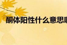 酮體陽性什么意思啊（酮體陽性什么意思）