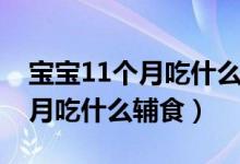 寶寶11個(gè)月吃什么能提高免疫力（寶寶11個(gè)月吃什么輔食）