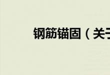 鋼筋錨固（關于鋼筋錨固的介紹）