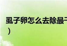 虱子卵怎么去除最干凈(虱子卵怎么徹底去除)