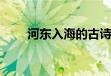 河?xùn)|入海的古詩（什么里河?xùn)|入海）