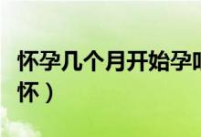 懷孕幾個(gè)月開(kāi)始孕吐反應(yīng)(懷孕幾個(gè)月開(kāi)始顯懷)